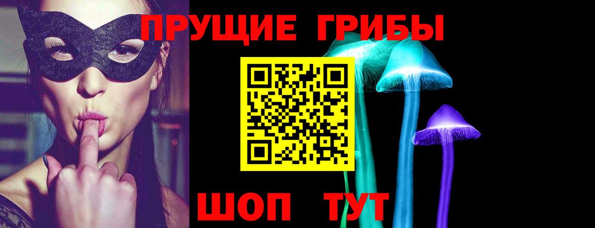 Псилоцибиновые грибы Psilocybine cubensis Сунжа