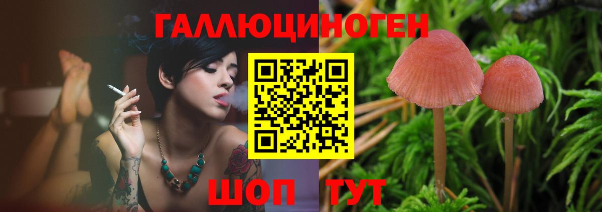 Псилоцибиновые грибы MAGIC MUSHROOMS  Вход с VPN  Сунжа  Псилоцибиновые грибы Cubensis 